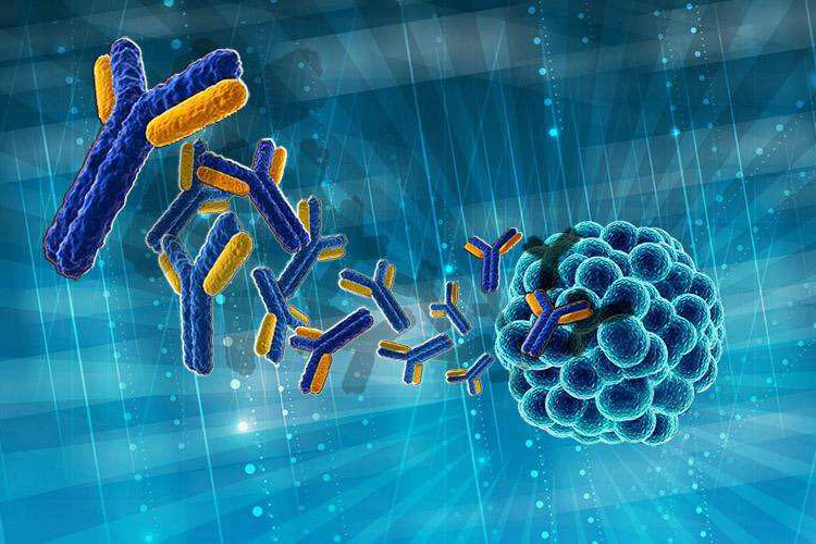 必发生物重组全人源抗EGFR单克隆抗体注射液获得临床试验批件